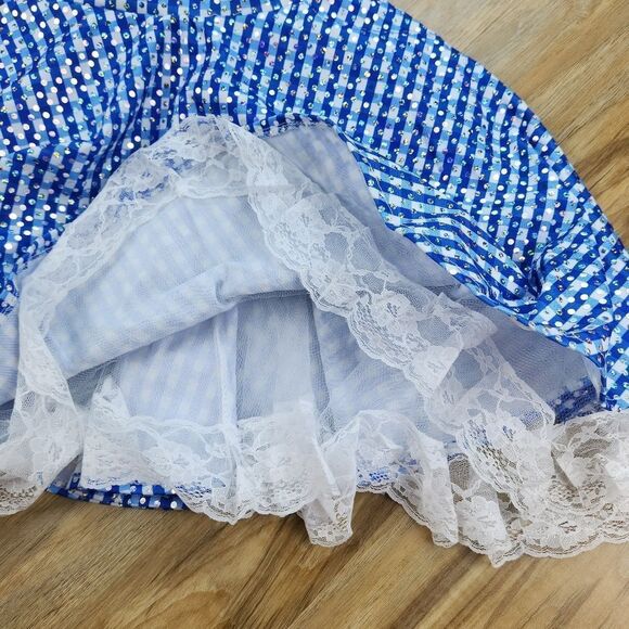 🩵Wizard of Oz Sequin Dorothy Wig & Costume Youth Medium 8-10 - Picture 9 of 15